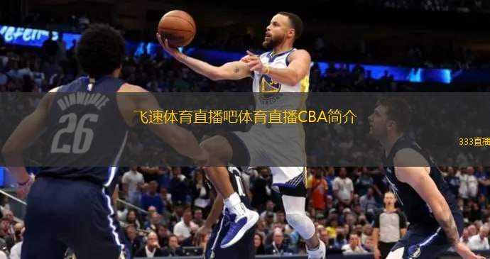 若马夏尔能