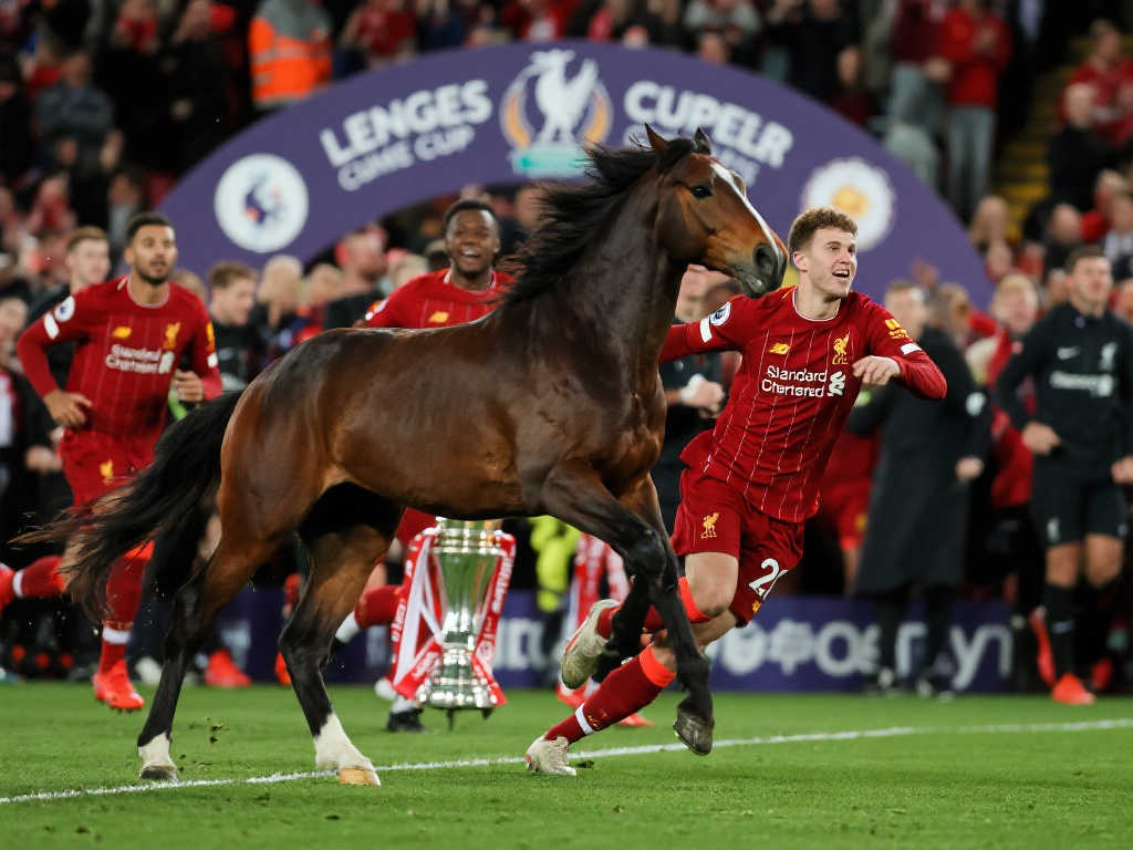 满冠体育注册概况简介